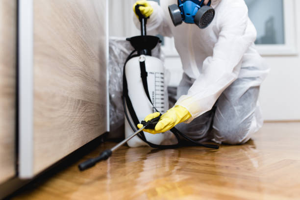 Wasp Removal Services in Clarksville, IA