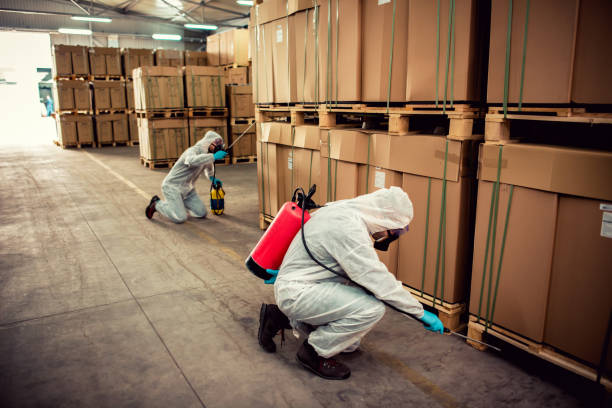 Best Residential Pest Control  in Clarksville, IA