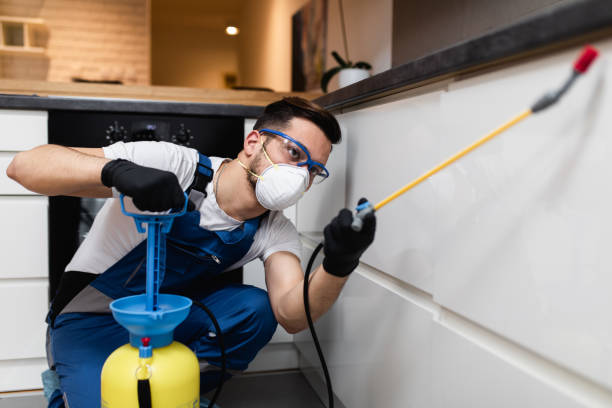 Best Local Pest Control Services  in Clarksville, IA