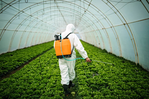 Best Pest Removal Services  in Clarksville, IA