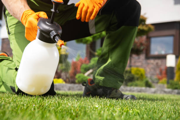 Best Commercial Pest Control Services  in Clarksville, IA