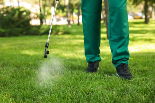 Reliable Clarksville, IA Pest Control Solutions