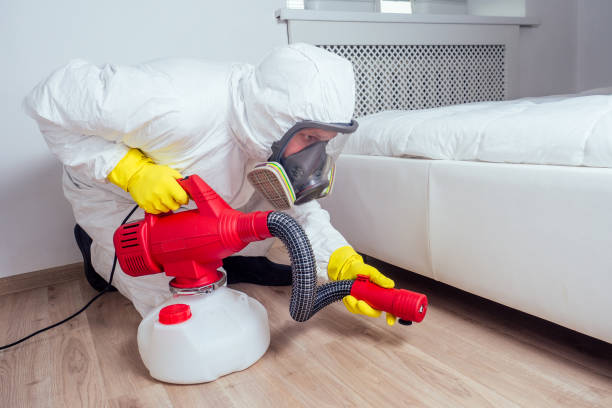 Best Flea Control Services  in Clarksville, IA