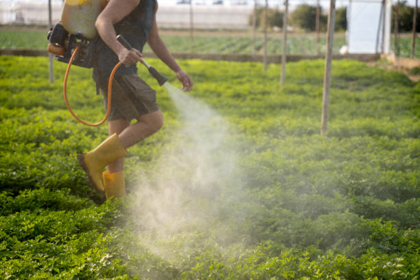 Pest Control for Restaurants in Clarksville, IA