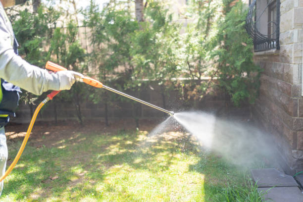 Best Insect Control  in Clarksville, IA