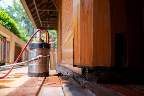 Best Wasp Removal Services  in Clarksville, IA