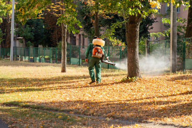 Best Pest Inspection Near Me  in Clarksville, IA