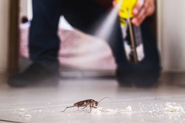 Professional Pest Control in Clarksville, IA