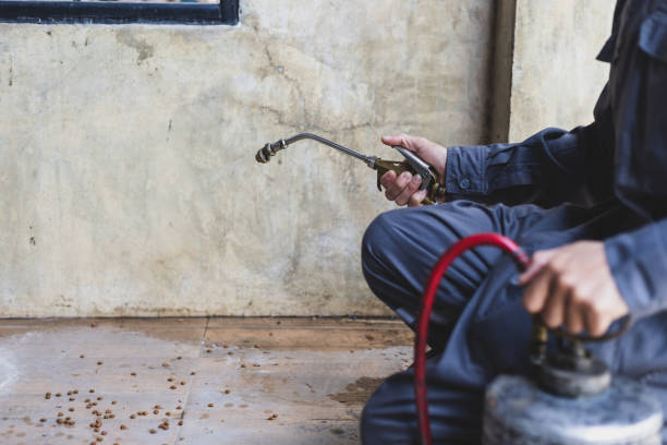 Best Pest Prevention Services  in Clarksville, IA
