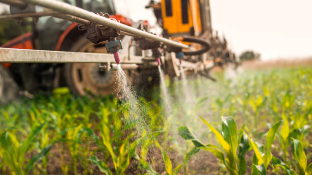 Best Best Pest Control Companies  in Clarksville, IA